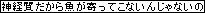 神経質だから魚が寄ってこないんじゃないの